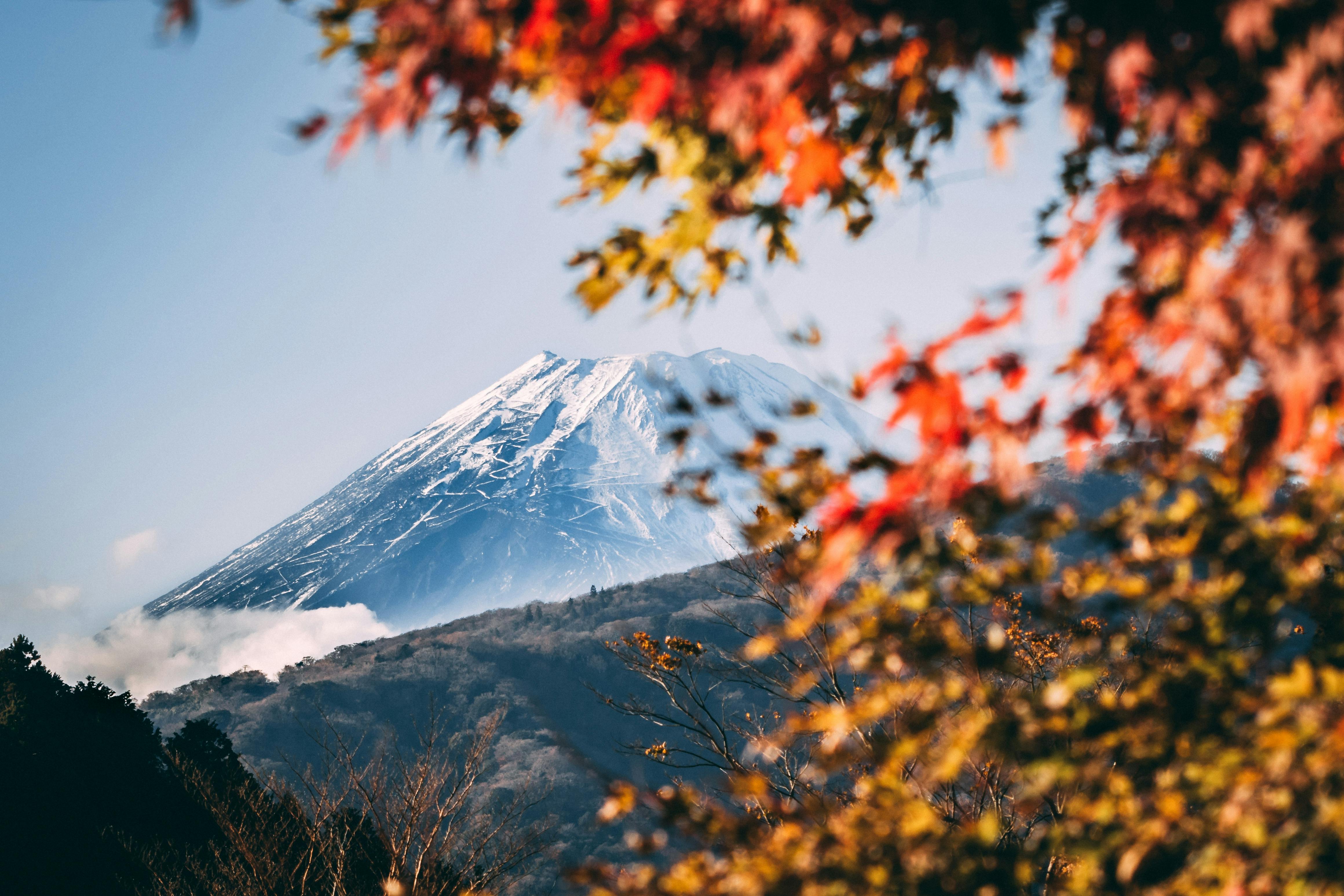 Mt Fuji through autumn leaves